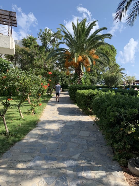 Gartenanlage Apollonia Beach Resort & Spa