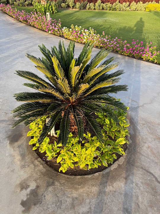 Gartenanlage JAZ Elite Riviera