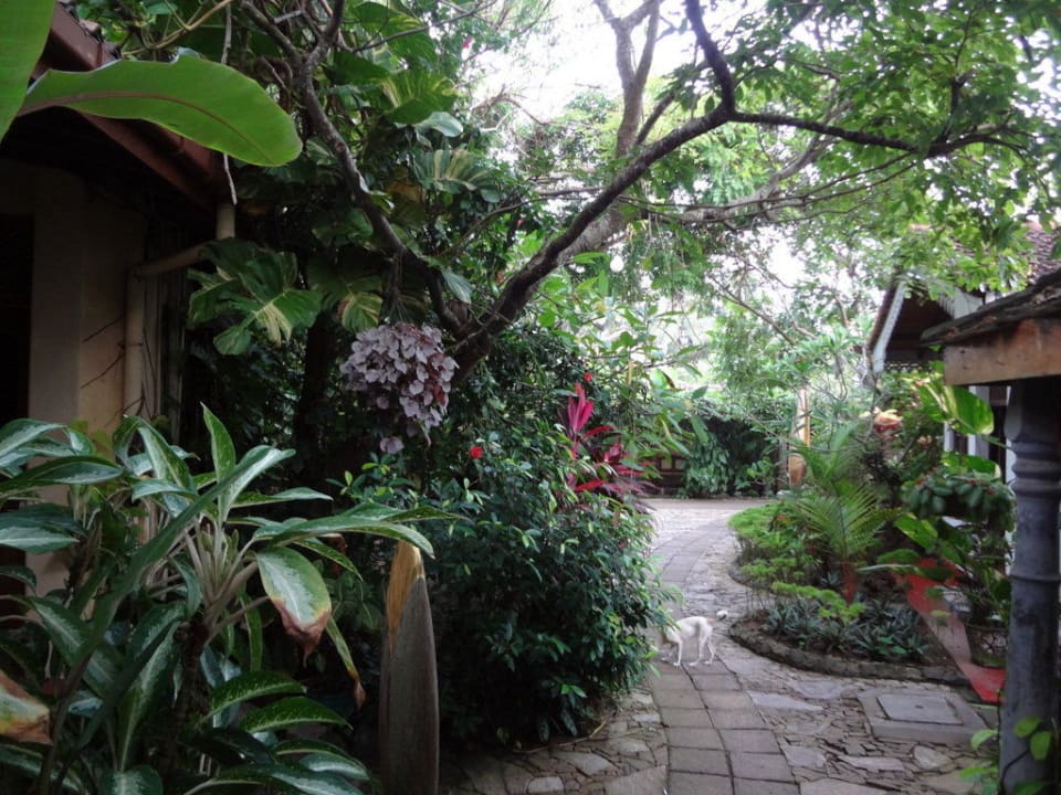 Gelände zwischen Gebäuden Hotel Sri Lanka Ayurveda Garden & Shakti Villa