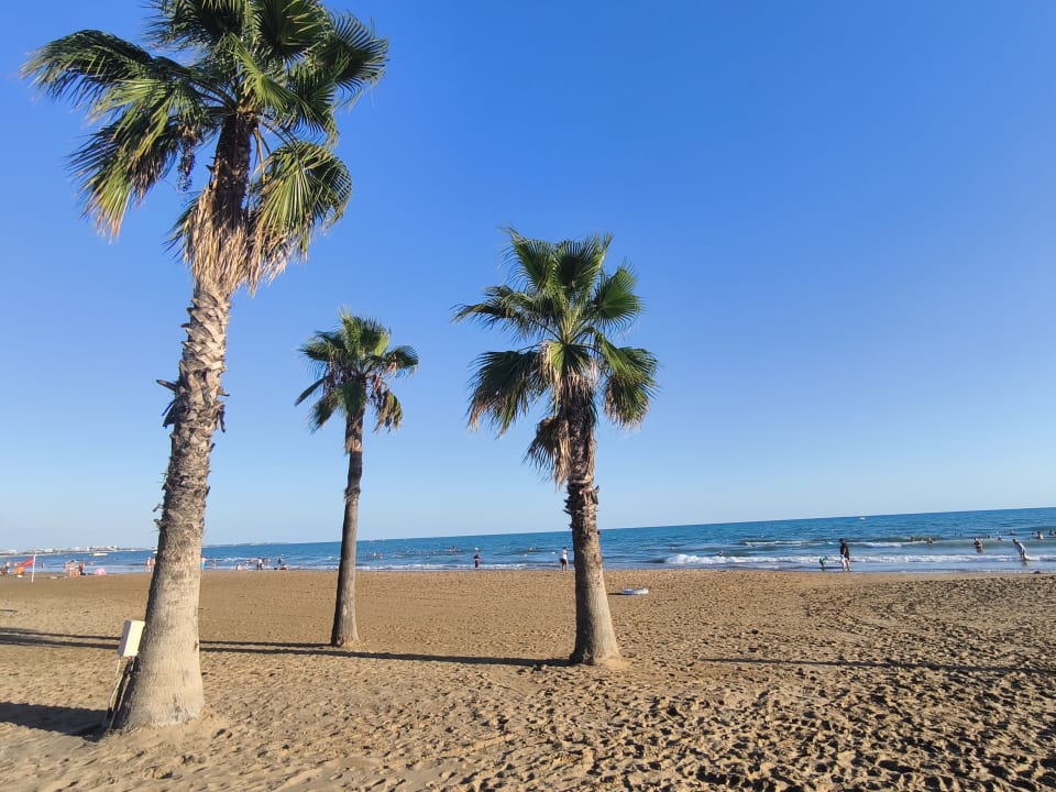 Strand Hotel Süral Resort