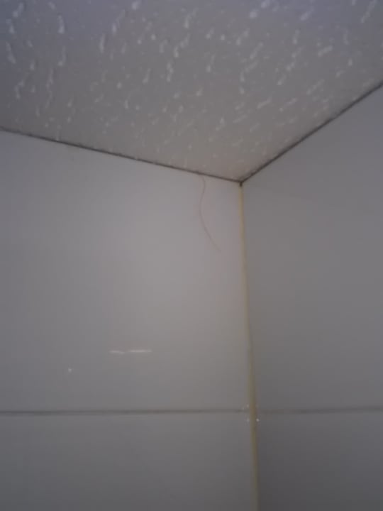 Zimmer BelleVue Club