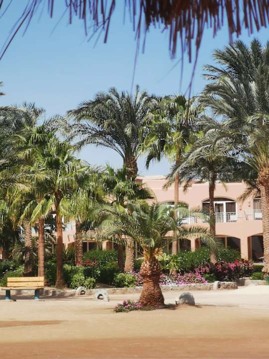 Außenansicht Club Paradisio El Gouna, Red Sea