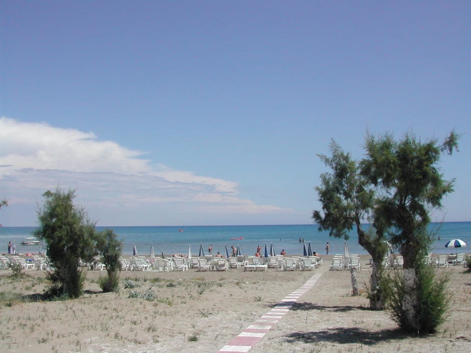 Der Strand direkt vorm Hotel Hotel Janno Beach
