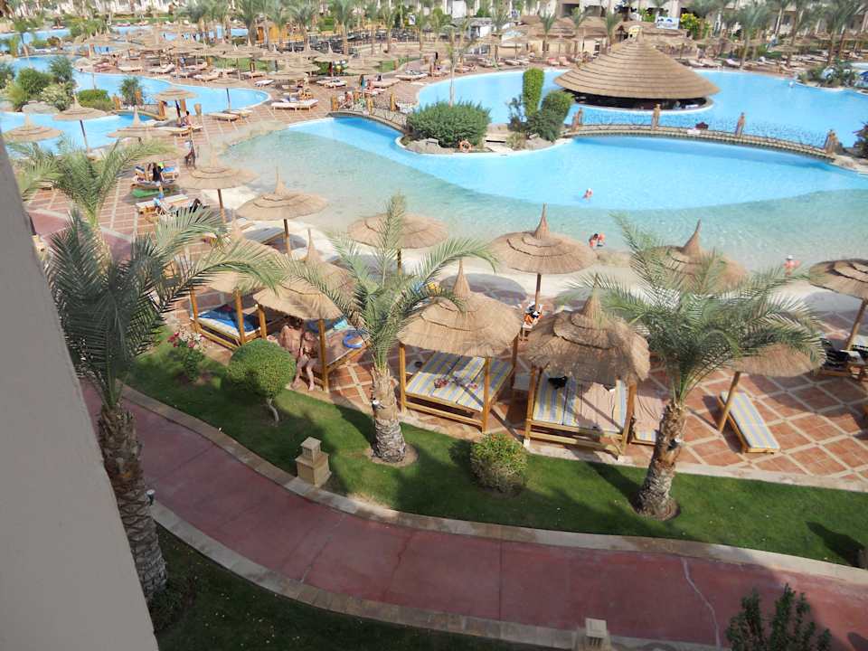 Pool Pickalbatros Palace Resort