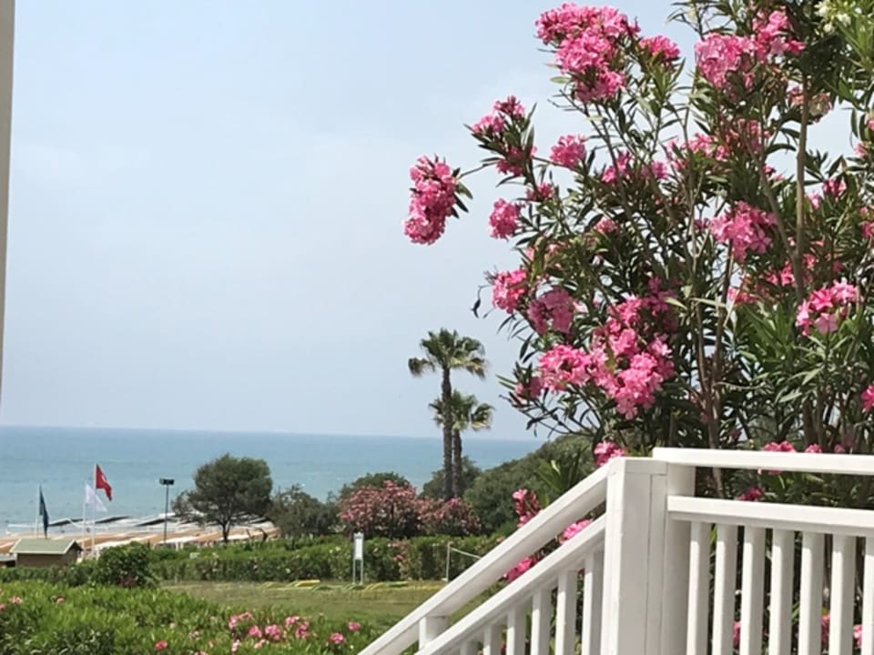 Ausblick Alba Queen Hotel