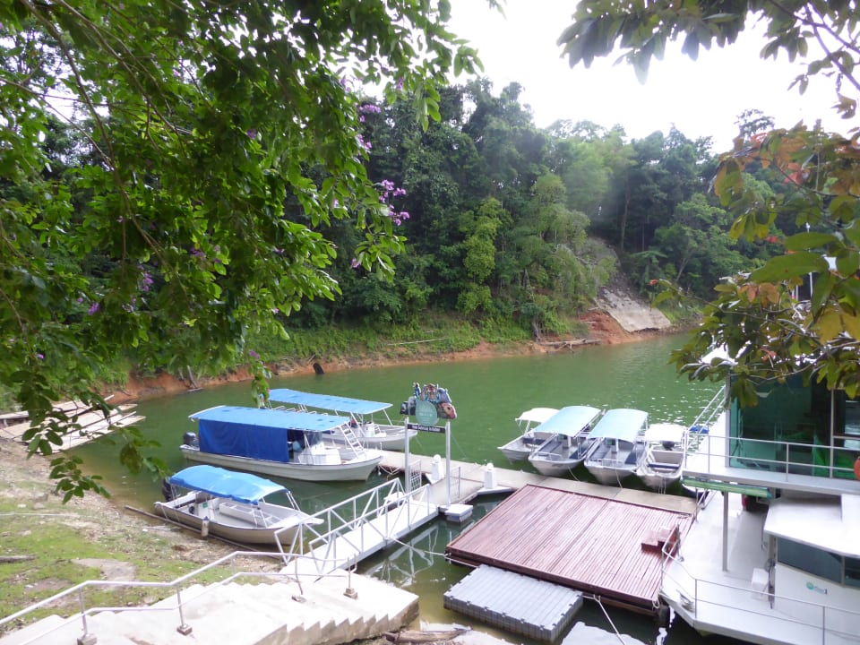 Bootsanlegestelle Hotel Belum Rainforest Resort