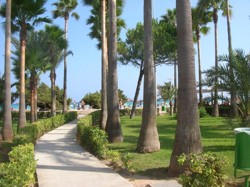 Weg zum Strand Hipotels Mediterraneo Club