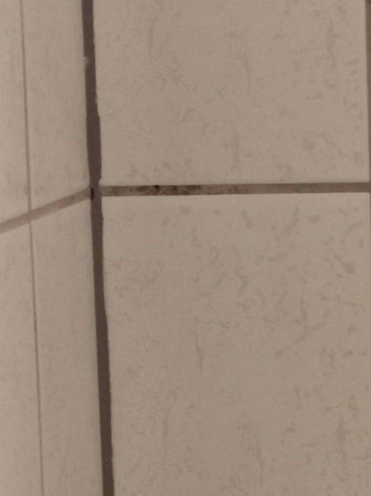 Zimmer Hotel Ellenzer Goldbäumchen