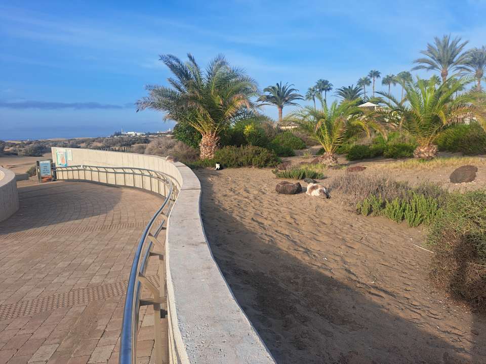 Zimmer Hotel Riu Palace Maspalomas Adults Only