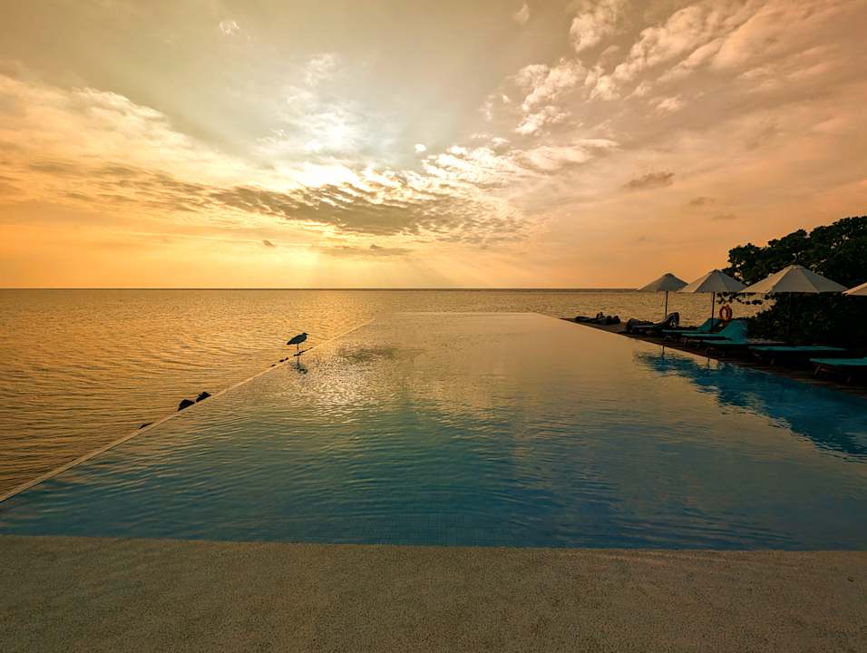 Pool Summer Island Maldives