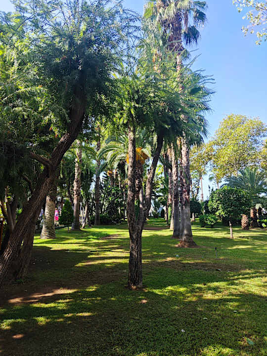 Gartenanlage Hotel Botanik Platinum