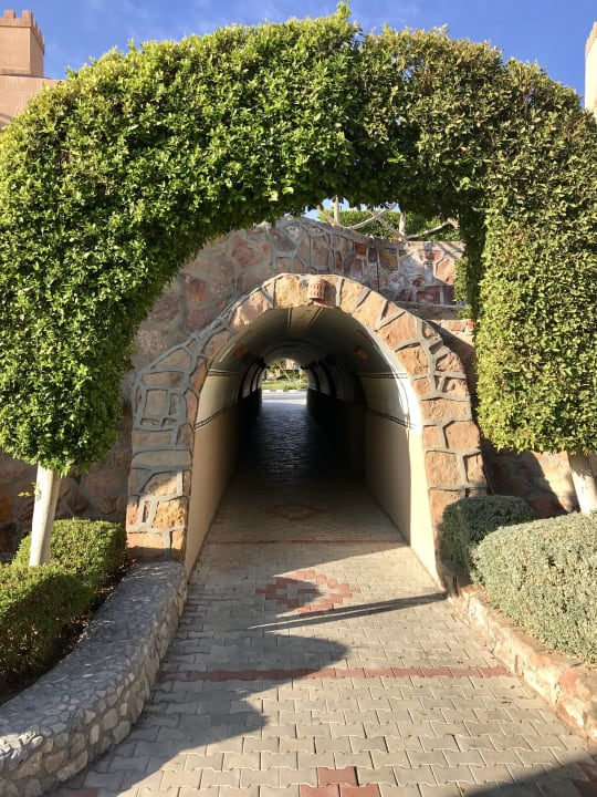 Gartenanlage Akassia Swiss Resort