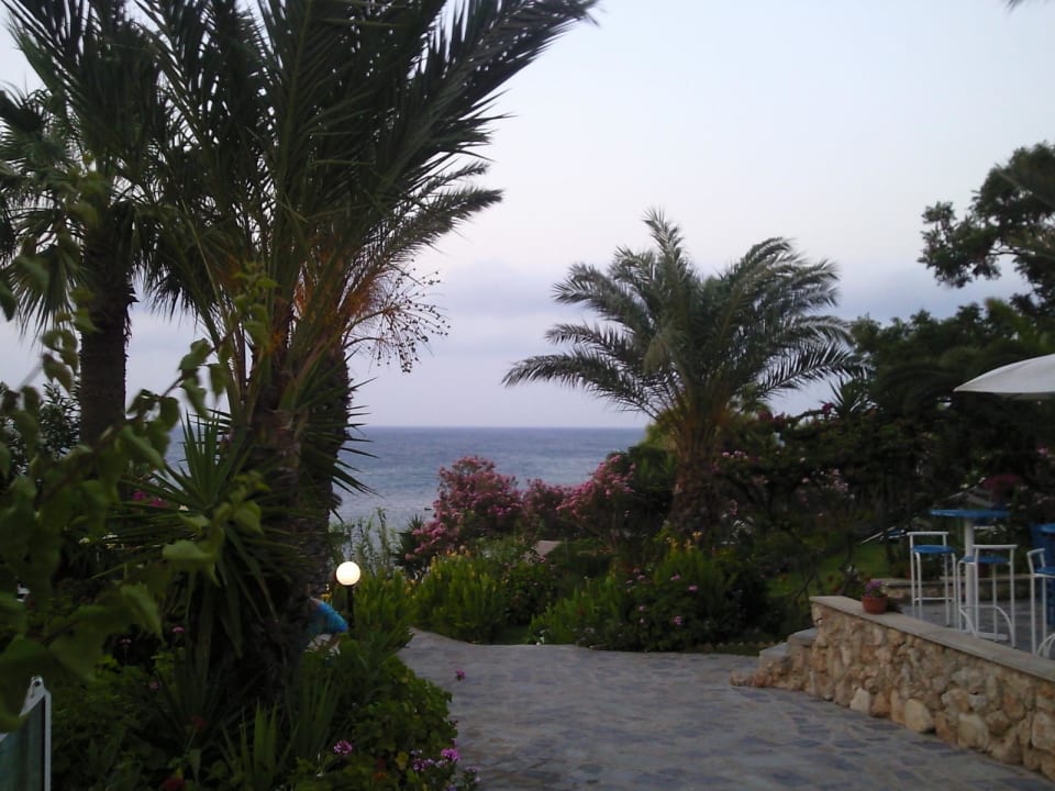 MEHR PALMEN UND ZUGANG ZUM STRAND Crystal Springs Beach Hotel