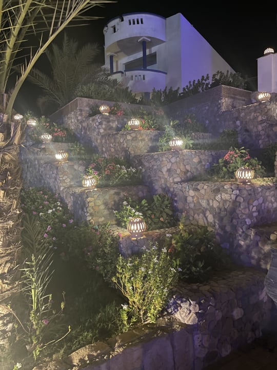 Gartenanlage Coral Sun Beach