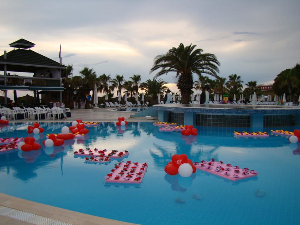 Ночь любви Botanik Hotel & Resort