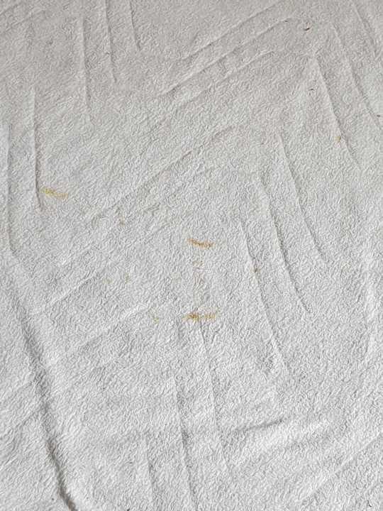 Zimmer Appartments Huis-Duinblik