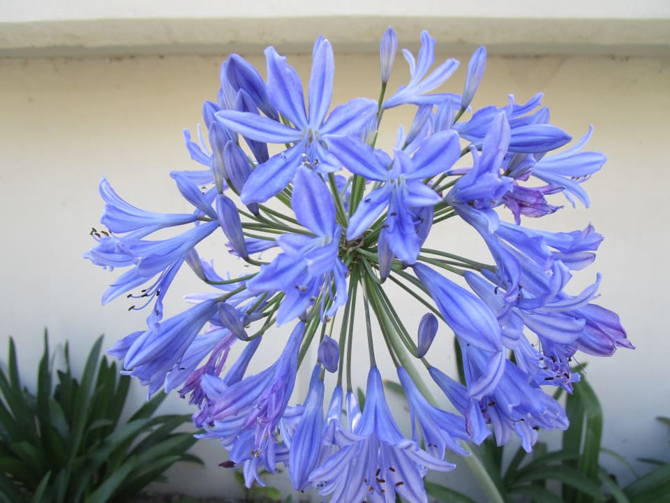 Sonstiges Elysium Resort & Spa Hotel