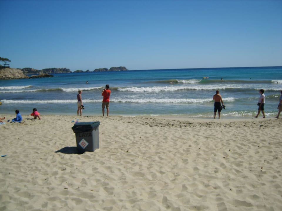 Strand 100 mtr. vom Hotel Hostel Neptuno