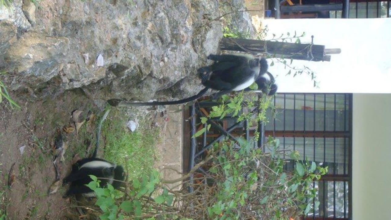 Вид на отель Hotel Papillon Lagoon Reef