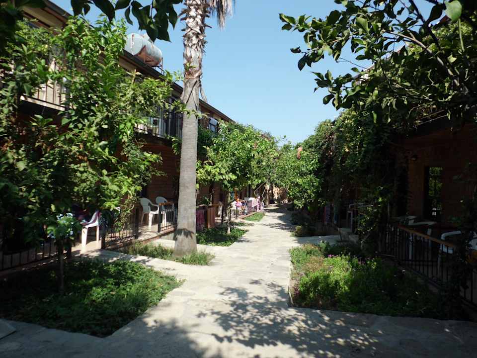 Blick ins Grüne Leda Beach Hotel