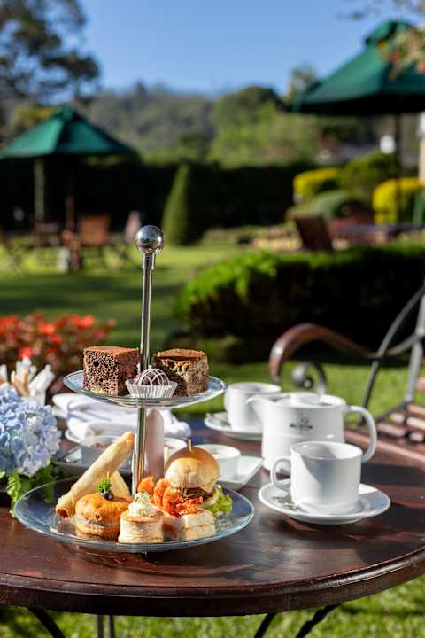 Gastro The Hill Club