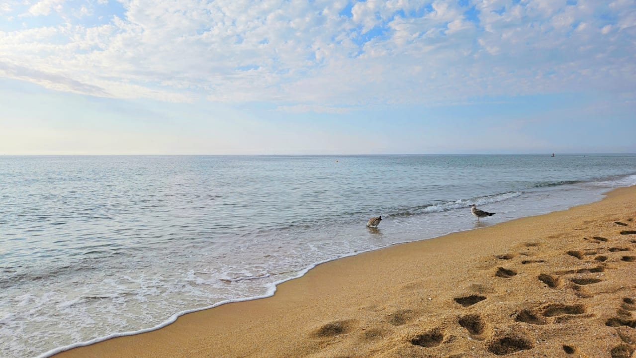 Strand GRIFID Encanto Beach