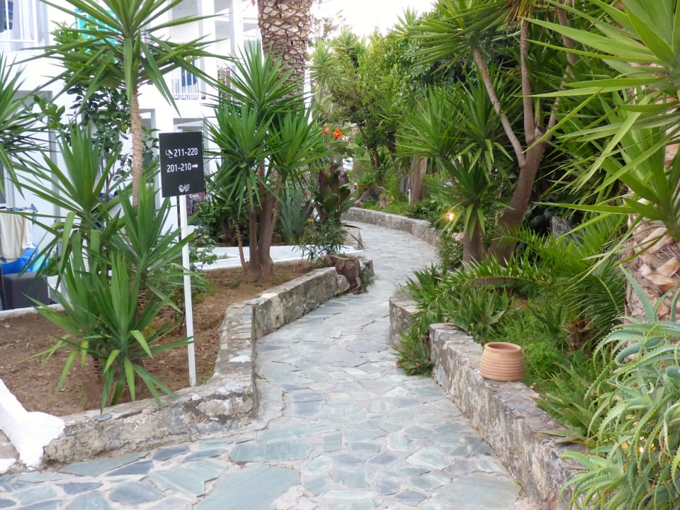 Gartenanlage HARPIN Happy Days Beach Hotel