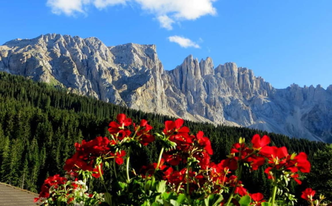 Blick vom Balkon auf das Latemargebirge Hotel Alpenrose