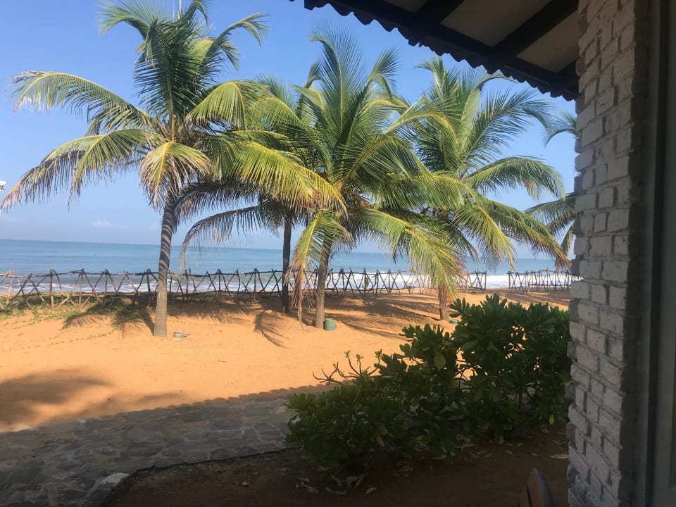 Zimmer Club Hotel Dolphin