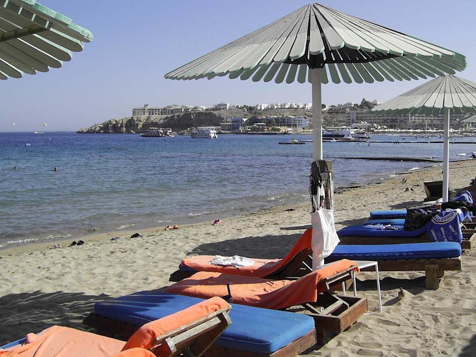 Sonnenschirm-Liegen Ghazala Gardens