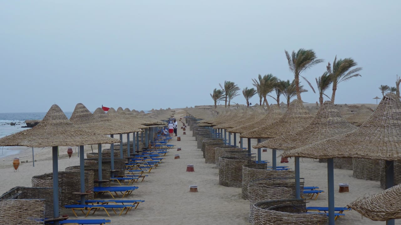 Plaża Malikia Resort Abu Dabbab