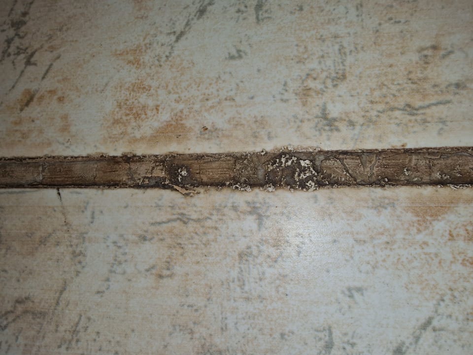 Zimmer Pickalbatros Citadel Resort