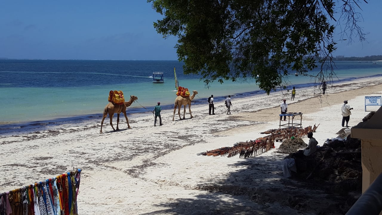 Strand Neptune Beach Resort