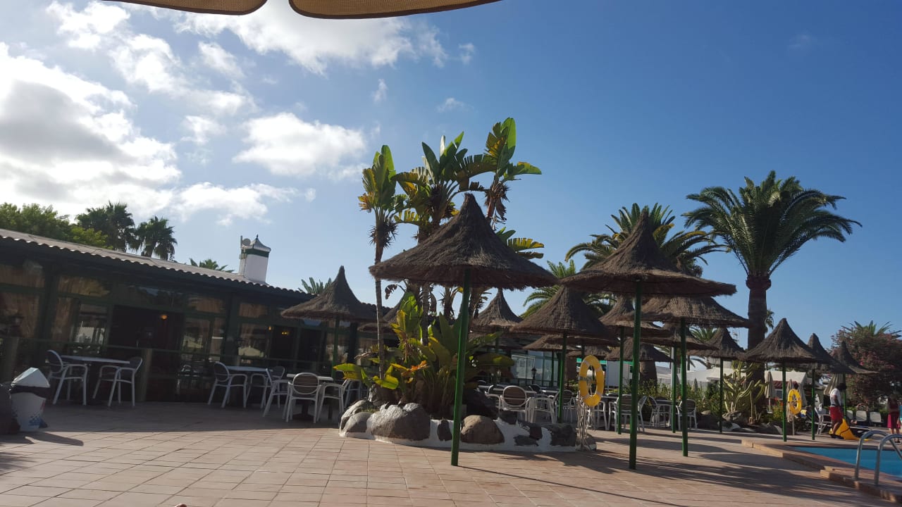 Poolbar Canary Garden Club