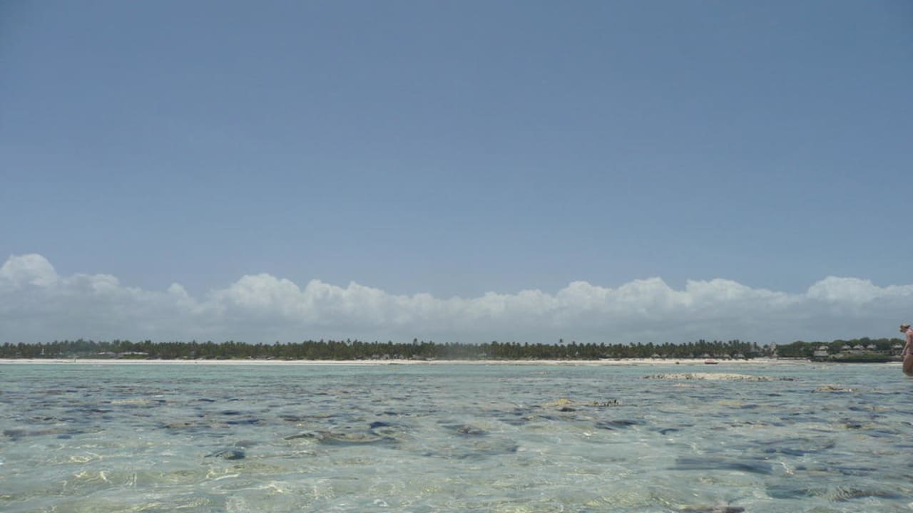 Blick zum Hotel Karafuu Beach Resort & Spa