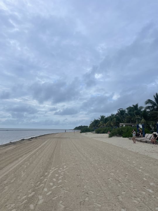 Strand Royalton Splash Riviera Cancun, An Autograph Collection All-Inclusive Resort