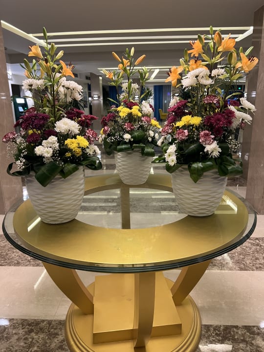 Lobby Pickalbatros Aqua Blu Resort - Sharm El Sheikh