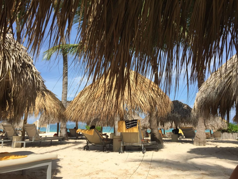 Liegen  JOIA Bávaro by Iberostar