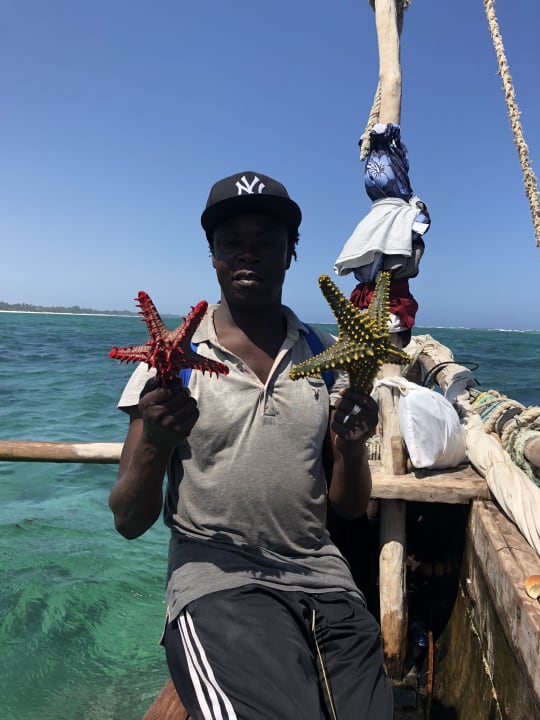 Dino Katamaran Neptune Paradise Beach Resort & Spa