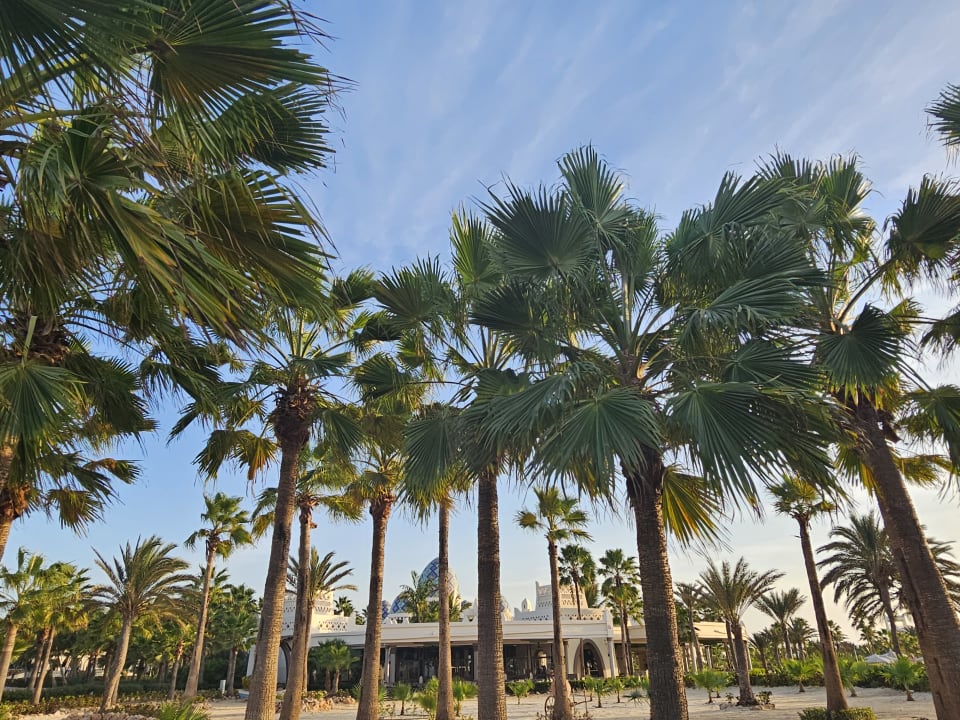 Gartenanlage Hotel Riu Karamboa