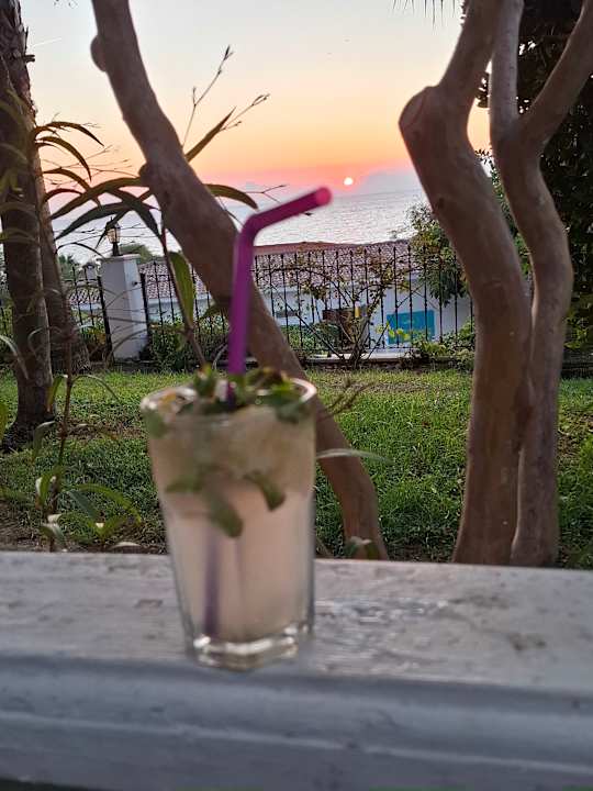 Gastro Alba Queen Hotel