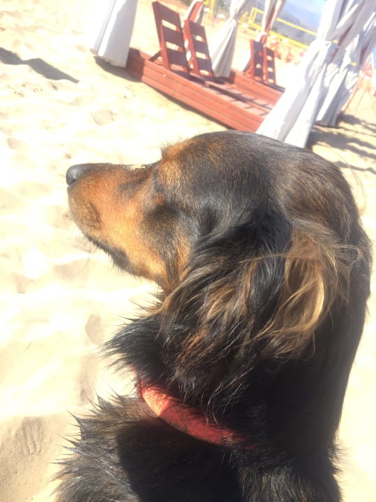 Strand HARPIN Georgioupolis Resort Aquapark & SPA