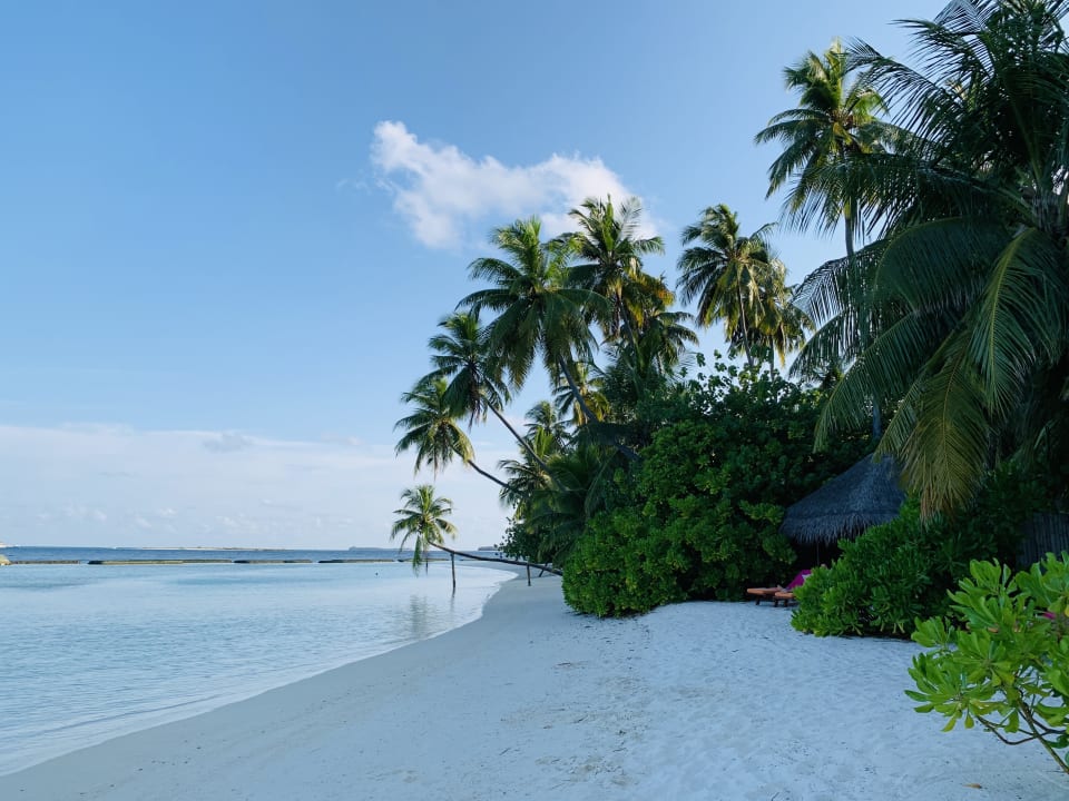 Strand Sun Siyam Vilu Reef