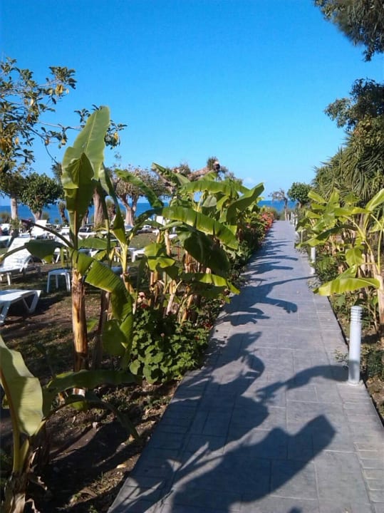 Weg zum Strand Irene Palace Beach Resort Club alltoura