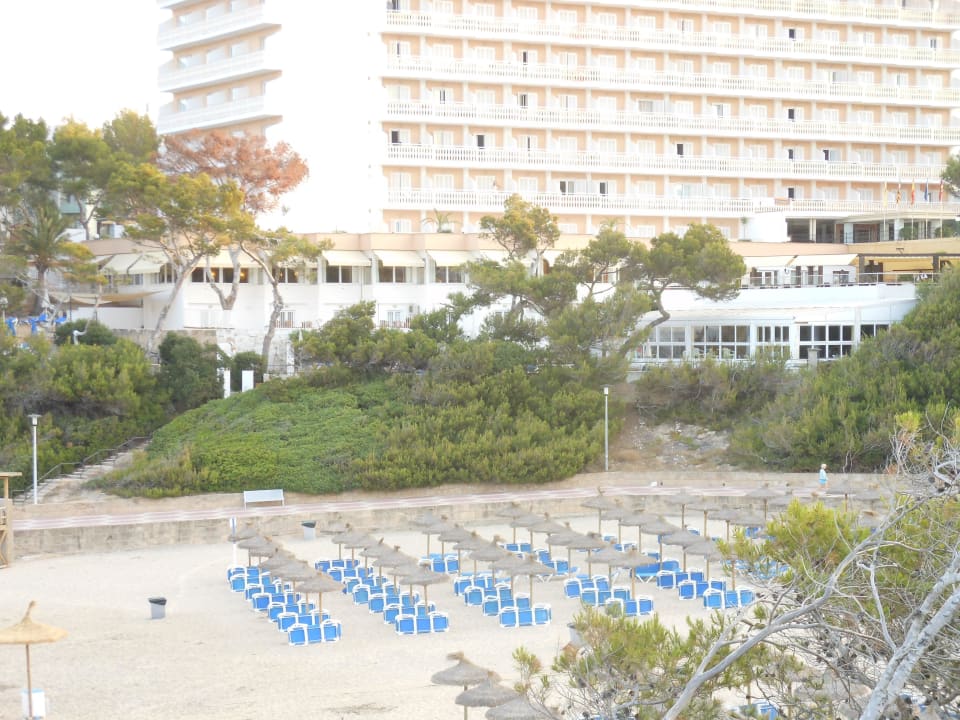 Hotel und super Strand Universal Hotel Lido Park & Spa