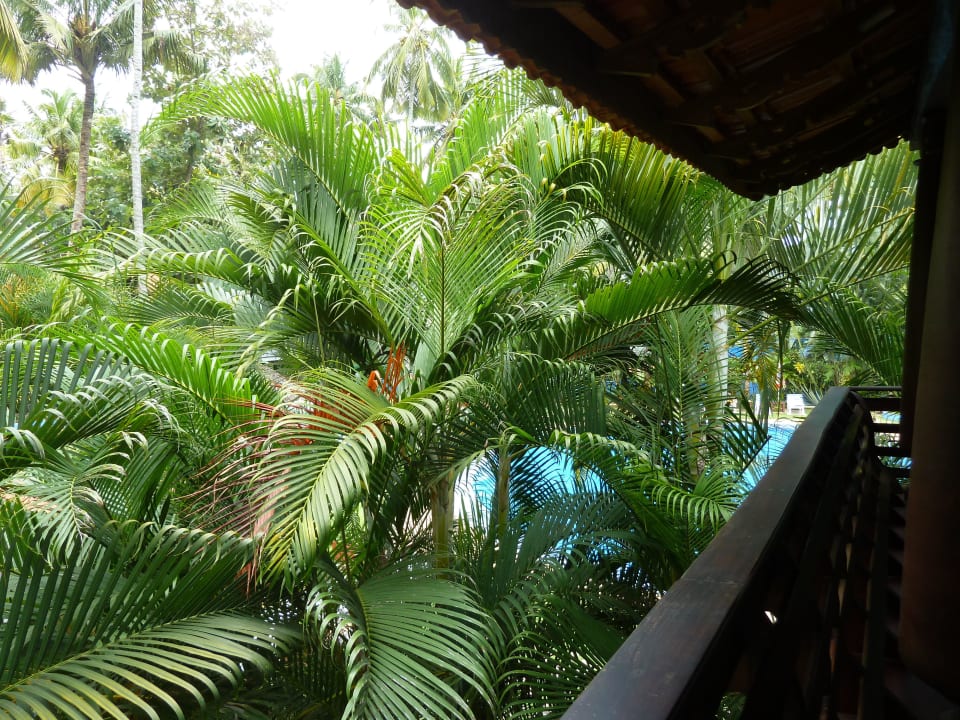 Aussicht vom Balkon Akhil Beach Resort