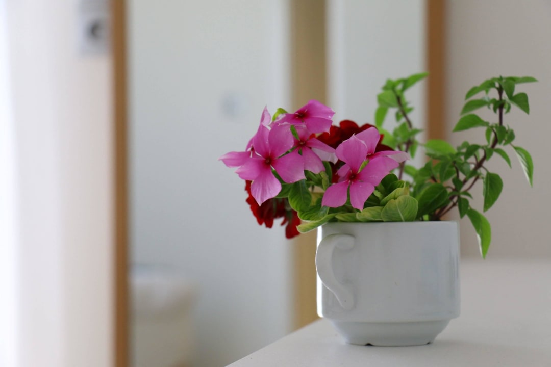 Aufmerksamkeit der Reinigungsdame Sentido More Meni Residence & Suites