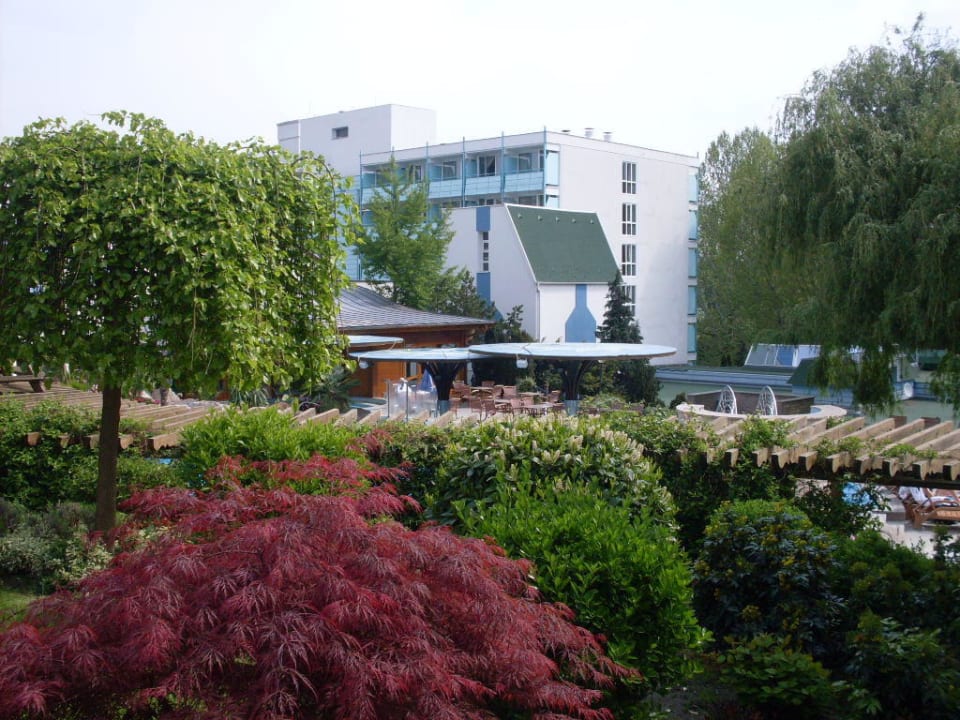 Blick von der Liegewiese NaturMedHotel Carbona