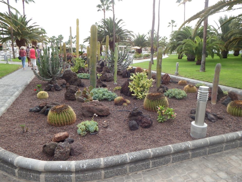 Gartenanlage Hotel Riu Gran Canaria