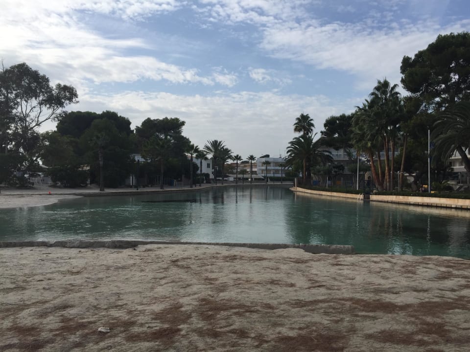 Anlage allsun App.-Hotel Orquidea Playa